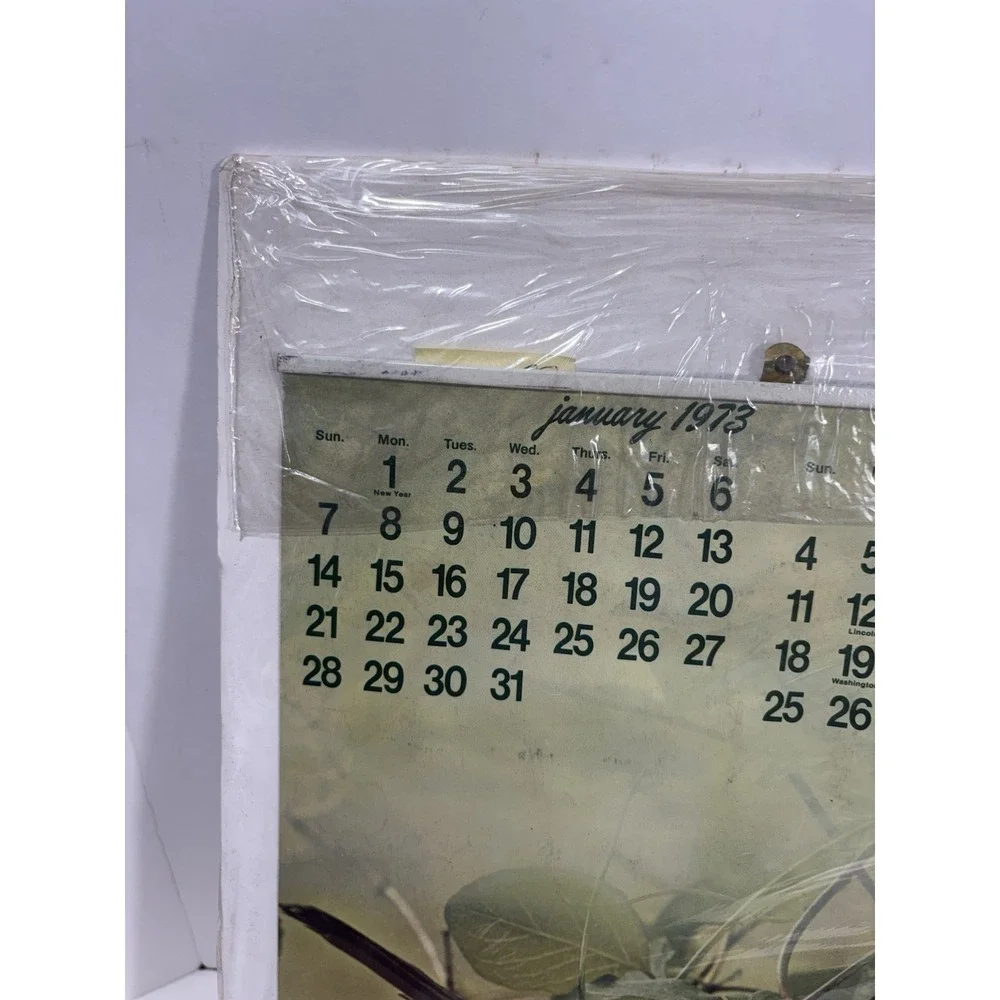 1973 Coca Cola Coke Advertising Calendar Bird Vintage Original‎ Rare